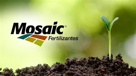 Mosaic Fertilizantes abre as inscrições para a segunda edição do Edital