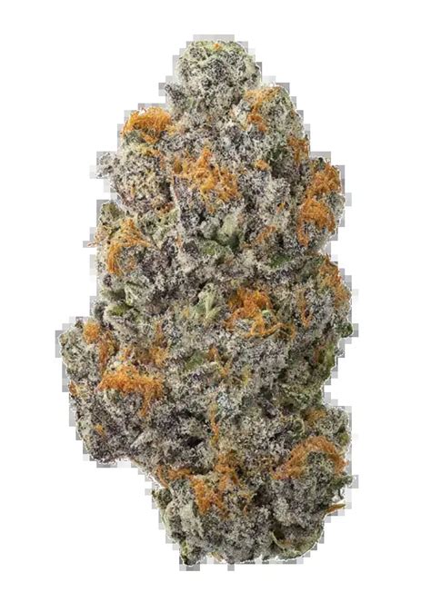 Gas Ass Grass Cannabis Strain Information GrowDiaries