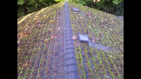 How To Remove Moss From The Roof Youtube