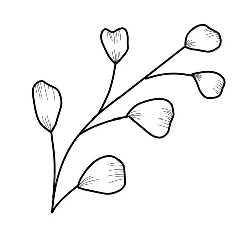 Hand Drawn Leaves Png Picture Hand Drawn Colorful Leaves Mem