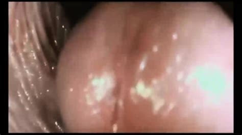 Journey To The Inside Of The Pussy