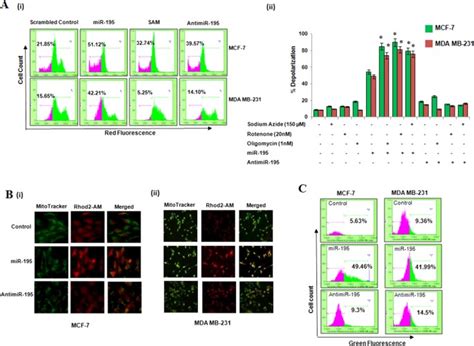 Microrna 195 Inhibits Proliferation Invasion And Metastasis In Breast