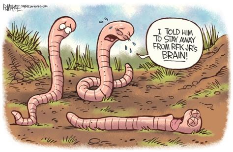 Cartoonist’s Take ‘rfk Jr Brain Worm’ Daily Freeman