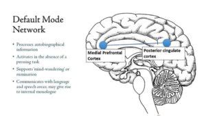 default mode network dmn   identity