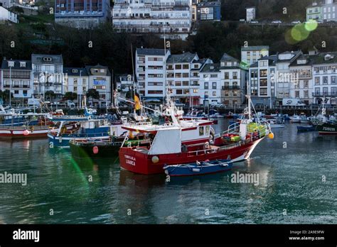 Coloured Fishing Boats In The Harbour Of Luarca Asturias Costa Brava