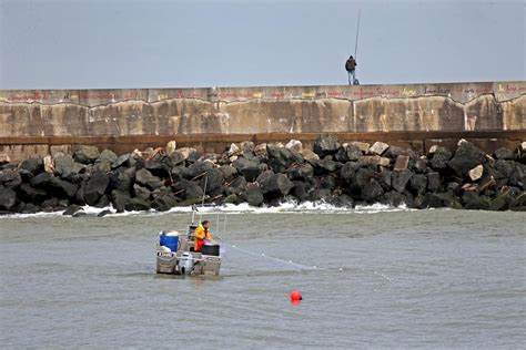 Où lon peut pêcher à nouveau le saumon dans le port de Bayonne La