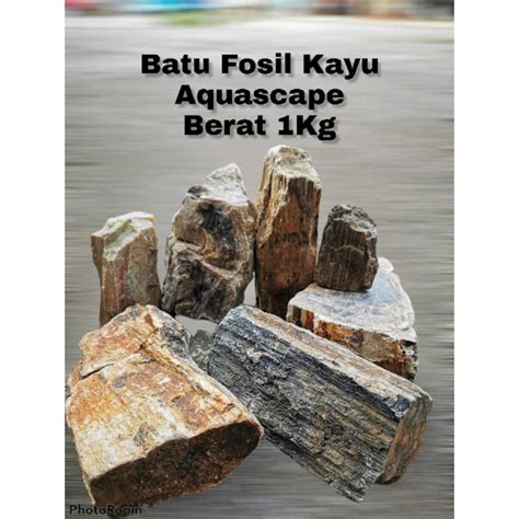 Jual BATU FOSIL SERAT KAYU 1KG AQUASCAPE Shopee Indonesia