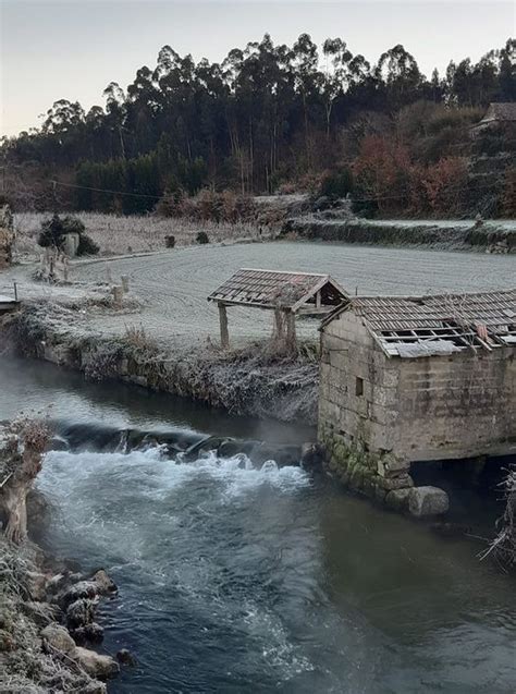 As zonas húmidas um ecossistema a preservar Jovens Repórteres para o