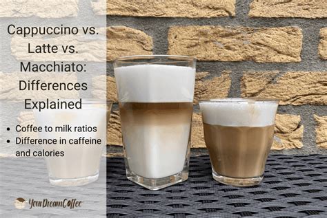 Cappuccino Vs Latte Vs Macchiato Differences Explained Milk Foam