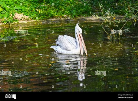 Zoo Vienna Schönbrunn Stock Photo - Alamy