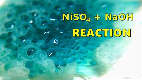 Nickel Ii Sulfate Reaction With Sodium Hydroxide Niso4 Naoh Youtube