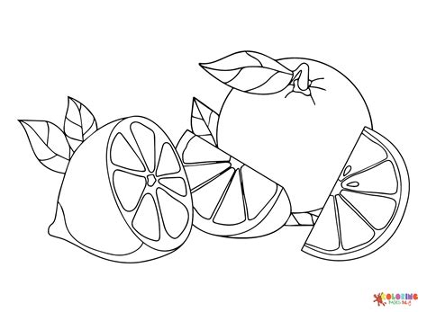 Citrus-fruits Pictures Coloring Page - Free Printable Coloring Pages