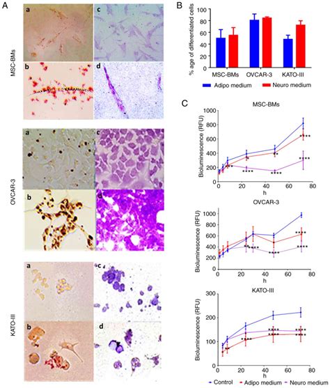 Differentiation Of Cancer Cells Upregulates Hlag And Pdl