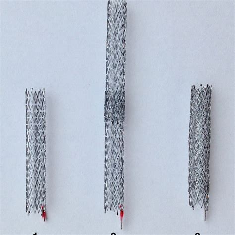 1 Single Stent Type Ev3™ Everflex ™ Nitinol 6 × 40 Mm