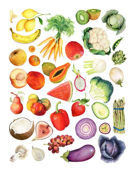 Produce Varieties Wall Art Food Illustration Archival Quality