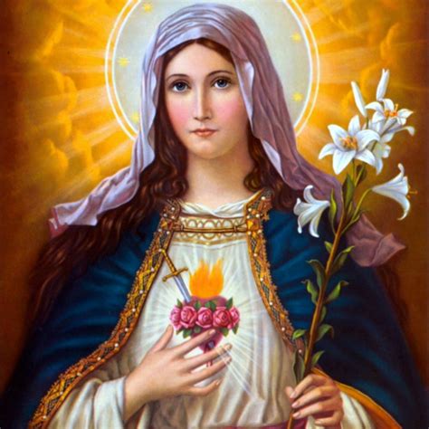 Stream True Devotion To Mary Episode 2 Fundamental Truths Of Devotion To The Blessed Virgin By