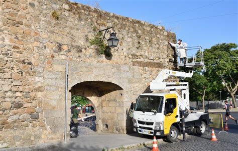 Évora Câmara procede à limpeza e tratamento das muralhas Linhas de