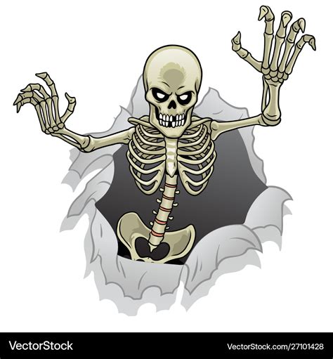 Cartoon Skeleton Character Out From Broken Vector Image