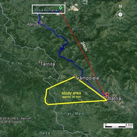 location   zlatna study area  scientific diagram