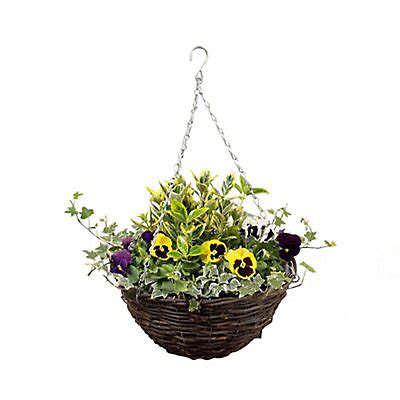 Buy 2 ASSORTED PRE PLANTED HANGING BASKETS | DIY at B&Q