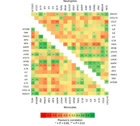 Pearsons Correlation Heatmap Between Genes Relative Transcript Levels Download Scientific