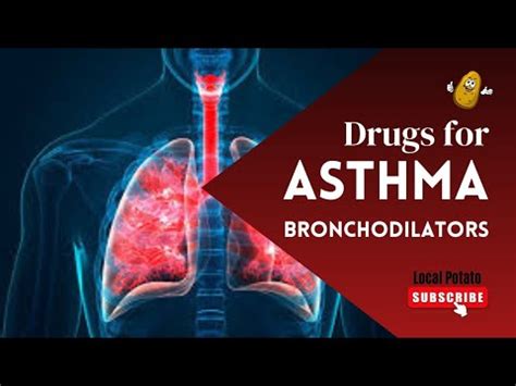 Asthma Bronchodilators And Management Of Asthma Pharmacology YouTube