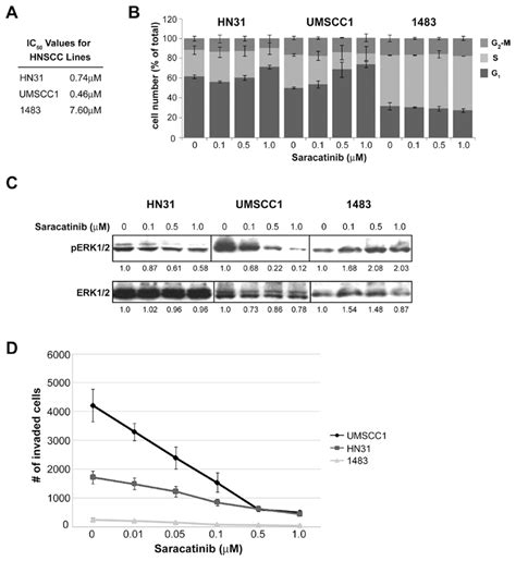 Effects Of Saracatinib On Hnscc Proliferation Cell Cycle Progression