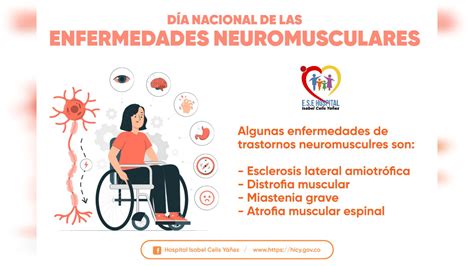 D A Nacional De Las Enfermedades Neuromusculares