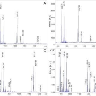 A MALDI TOF Mass Spectrum Of The Culture Filtrate Of P Polymyxa DSM