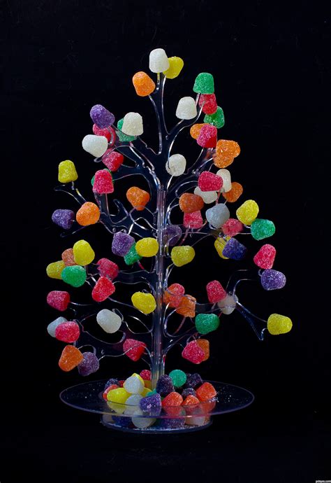 gumdrop photography contest pictures image page  pxleyescom