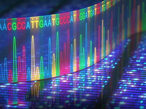 Dna Test May Help Predict Likelihood Of Heart Disease American Heart Association