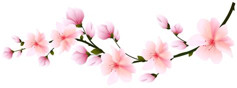 Spring Branch Transparent Image Gallery Yopriceville High Quality