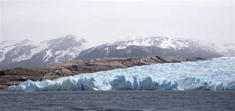 Here is the list of 5 alluring activities to enjoy on an Arctic Cruise ...