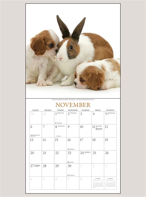 2022 Bunnies Friends 12 X 12 WALL CALENDAR Shop The Gladstone