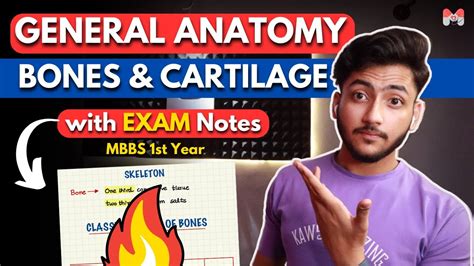 General Anatomy Skeleton MBBS 1st Year Full Explanation With Exam