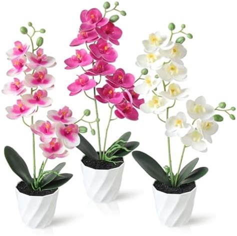 Dremisland Pi Ces Orchidees Artificielles En Pot Fleurs Artificielles