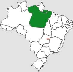 Qual É O Ddd Do Pará - Mapa de DDD do Pará - Mapas de DDDs do Pará - QUAL DDD? - Qual o DDD da ...
