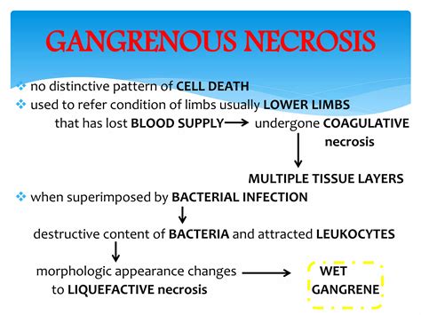 Necrosis And Types Ppt