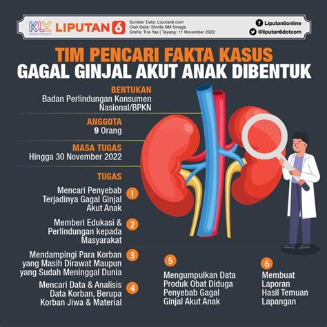 Infografis Tim Pencari Fakta Kasus Gagal Ginjal Akut Anak Dibentuk