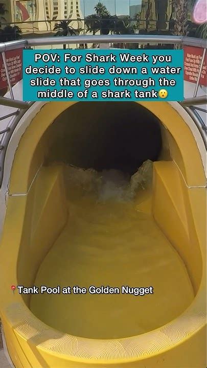 Water Slide Through A Shark Tank At The Tank Pool At The Golden Nugget In Las Vegas Youtube