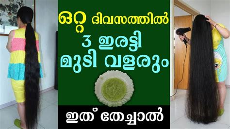 മുടി പനംകുല പോലെ തഴച്ചു വളരാൻ അലോവേര ഇങ്ങനെ ഉപയോഗിച്ചു നോക്കൂ