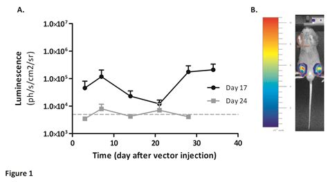 Figure From Empty Capsids And Macrophage Inhibition Depletion