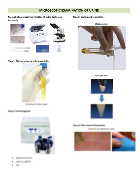 SOLUTION Microscopic Examination Of Urine Studypool