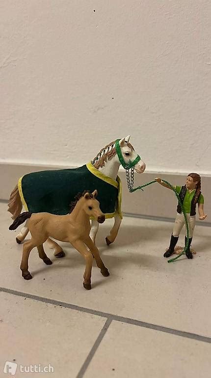 Schleich Pflegerin Mit Pferd Und Fohlen Im Kanton Basel Landschaft