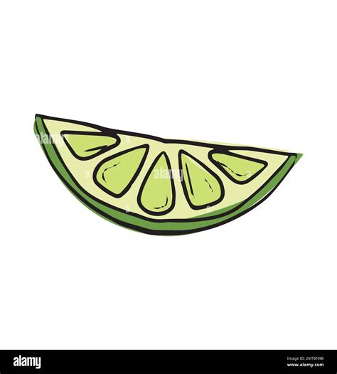 Lime Fresh Slices Set Cut Limes Fruit Slice For Lemonade Juice Or