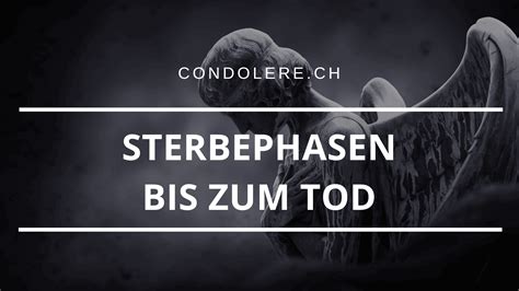 Sterbephasen Bis Zum Tod So Sterben Wir Condolere Ch