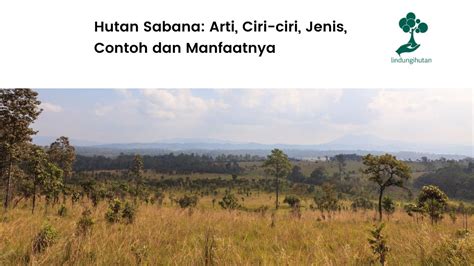 Hutan Sabana: Arti, Ciri-ciri, Jenis, Contoh dan Manfaatnya