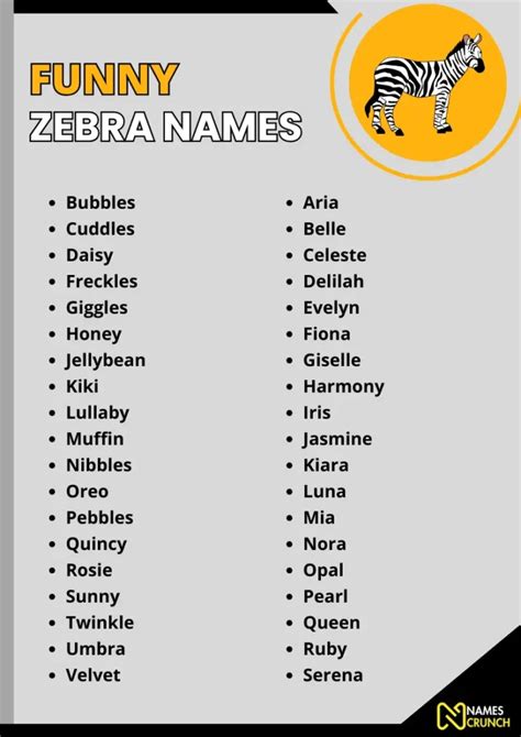 Funny Zebra Names [450+ Cool Ideas] - Names Crunch