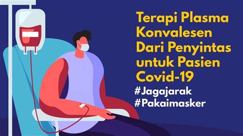 Infografis Terapi Plasma Konvalesen Untuk Pasien Covid Suara