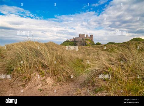 Dune Landscape In Front Of Bamburgh Castle Northumberland England